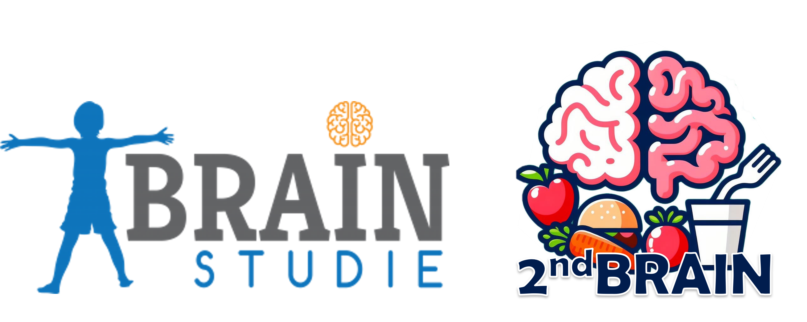 2ndBRAIN-studie